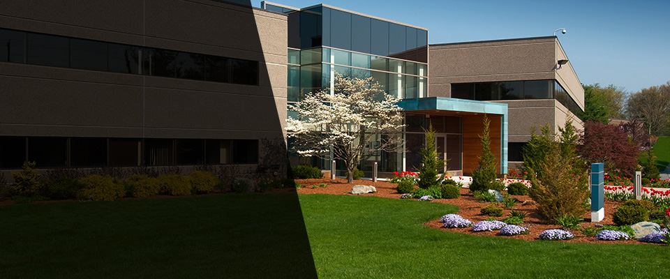 Kingsford Landscapers