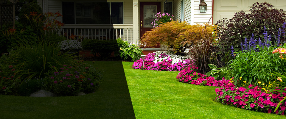 Kingsford Landscapers